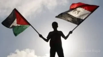 رسالة شكر وتقدير.. عشائر غزة تثمن الموقف المصري لوقف العدوان على القطاع 1